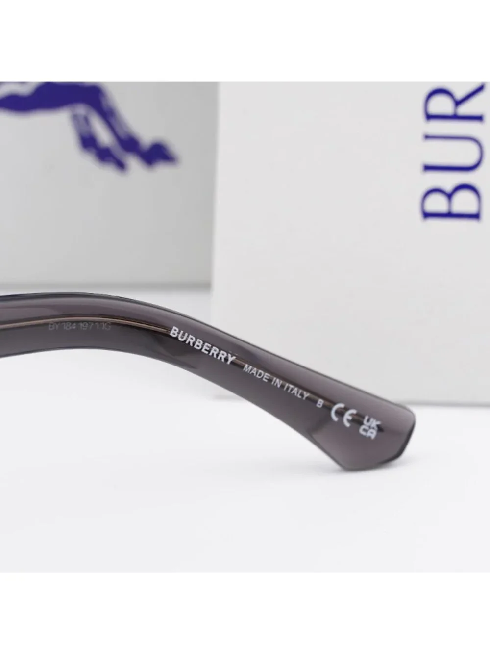 Burberry model be2421